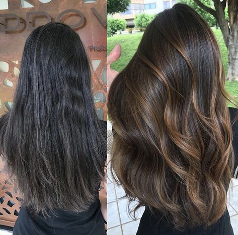 Hazelnut Balayage On Black Hair, Lightened Dark Brown Hair, No Bleach Hair Color For Black Hair, Baby Lights On Black Hair, Black Hair To Brown Before And After, Warm Caramel Balayage Brunettes, Balayage On Dark Hair, Highlights Brown Hair Balayage, Black Hair Balayage