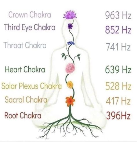 Chakras Images Spiritual, Sacral Chakra Healing Herbs, Chakra Herbs And Flowers, Chakra Awareness Guide, Love Meditation, Chakra Sexuality, Chakra Health, Seven Chakra, Chakra Affirmations