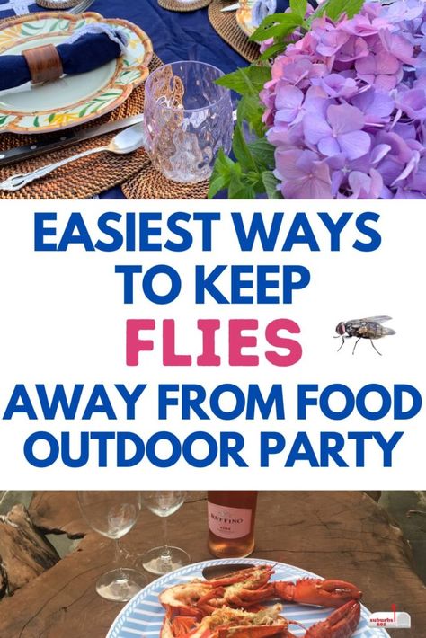 How to Keep Flies Off Food at Your Outdoor Party How To Cover Food For Outside Party, Outdoor Wedding Foods, Outdoor Party Foods, Outdoor Dinner Table, Outdoor Tea Parties, Outdoor Buffet, Backyard Dinner, Parties Food, Flies Outside