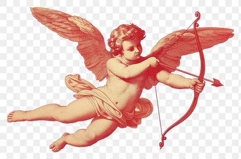 Pink Valentine Wallpaper, Cupid Drawing, Png Angel, Person Png, Angel Png, Cupid Bow, Angel Wings Png, Baby Statue, Cupid Arrow