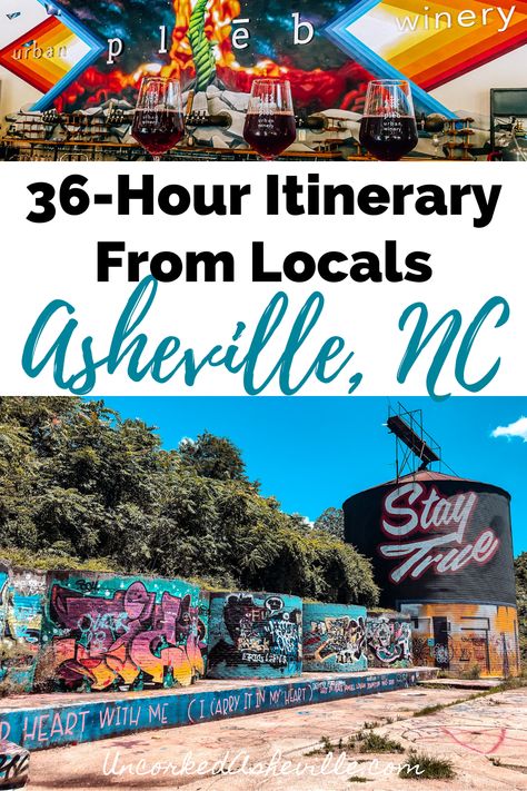 Asheville Breweries, Ashville North Carolina, Things To Do In Asheville, North Carolina Attractions, Visit North Carolina, North Carolina Travel, Have A Day, Asheville Nc, Vacation Places