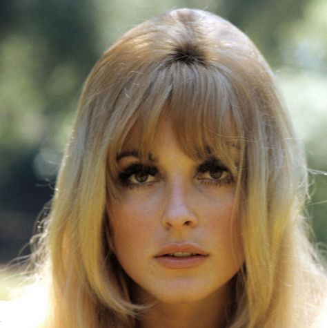 Sharon Tate: American actress of the late sixties. Description from 24femmespersecond.wordpress.com. I searched for this on bing.com/images 1960s Hair, 60s Hair, 70s Hair, Sharon Tate, Grunge Hair, Classic Beauty, Vintage Hairstyles, Vintage Beauty, Hairstyles With Bangs