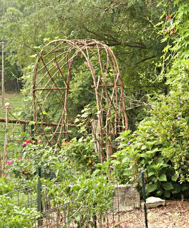 trellis made of branches | Jim Long's Garden: Bentwood Trellises for Your Garden Rustic Trellis, Rustic Arbor, Garden Archway, Rustic Pergola, Garden Arch Trellis, Diy Garden Trellis, Arch Trellis, Garden Arbor, Garden Arches