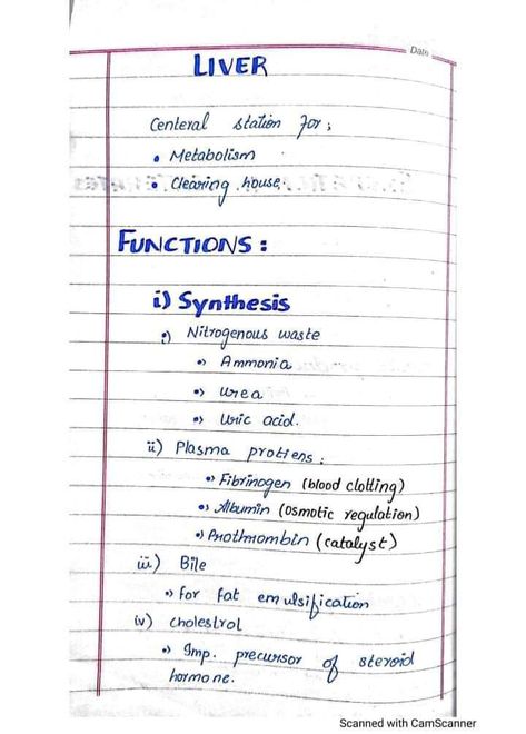 Liver function Homeostasis Biology Notes, Liver Notes, Botany Notes, Physiology Notes, Neet Notes, Hand Written Notes, Excretory System, Human Physiology, Jee Mains