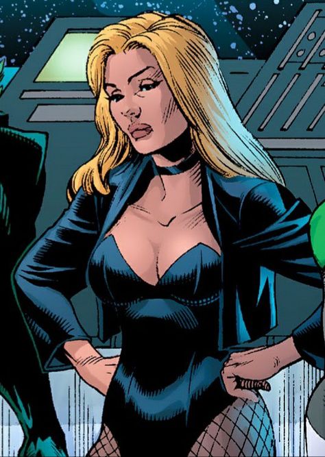 identity crisis (2004) #2 Dinah Lance, Dinah Laurel Lance, Identity Crisis, Dc Comic Books, Black Canary, Dc Heroes, Cultura Pop, Justice League, Comic Art