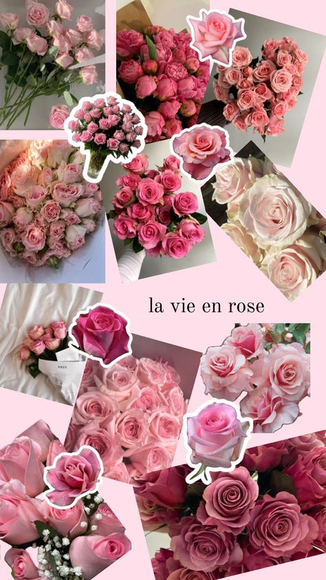 la vie en rose #roses #pink #red #floral #garden La Vie En Rose Aesthetic, Rose Aesthetic, Sassy Wallpaper, Prettiest Bouquet, Rosé Aesthetic, Roses Pink, Nothing But Flowers, Floral Garden, Photo Backgrounds