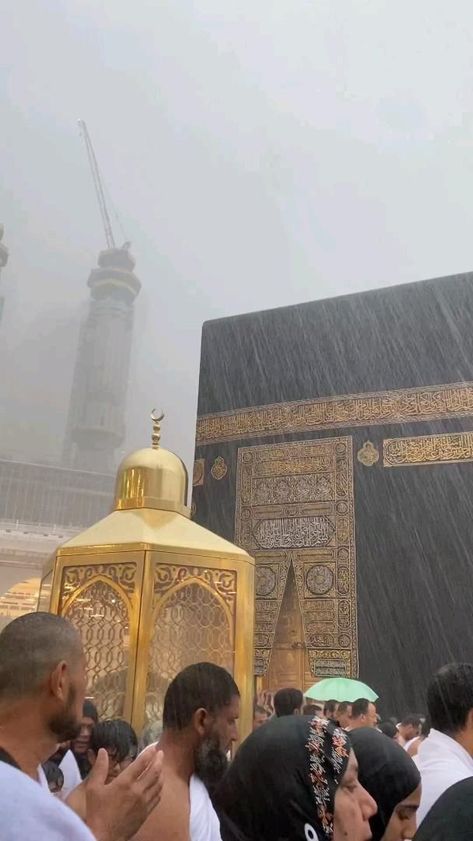 Madina Sharif Beautiful Pic, Hajj Video, Al Qur'an Photography, Qur'an Photography, Amazing Animal Pictures, Muslim Couple Photography, Muslim Pictures, Allah Photo, Best Islamic Images