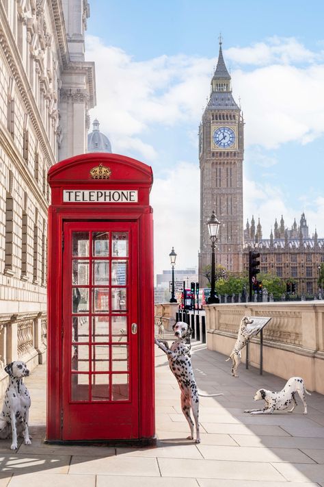 Spotted At Big Ben, London | Gray Malin Elizabeth Tower, Gray Malin, Big Ben London, Photography Themes, Gulf Coast Florida, Beverly Hills Hotel, Popular Photography, Holiday Photography, Snow Dogs