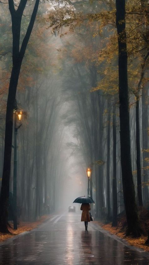 Raining Scenery, Foggy Road, Rainy Day Aesthetic, Best Nature Wallpapers, Rain Wallpapers, Autumn Scenes, Autumn Scenery, Beautiful Landscape Wallpaper, Phone Wallpaper Images