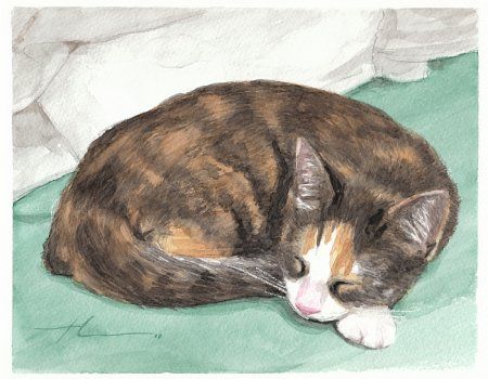 Mike Theur   WATERCOLOR Calico Cat Painting, Tortoise Cats, Sleeping Drawing, Watercolor Cats, Tortoise Cat, Cat Steps, Calico Kitten, Daler Rowney, Cat Sketch