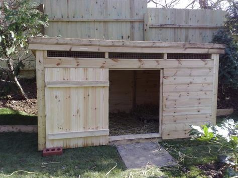 Geese House Ideas, Goose Coop, Raised Chicken Coop, Sebastopol Geese, Goose House, Backyard Ducks, Duck Coop, Raising Ducks, House Kits