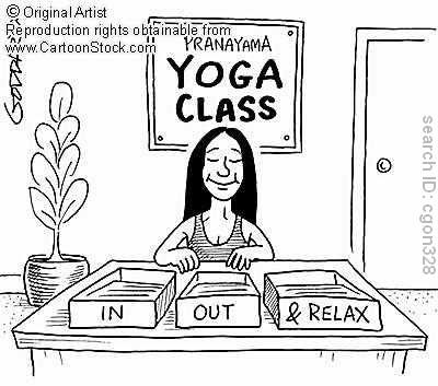 We breath in oxygen and then convert it into carbon dioxide for plants to turn back into oxygen. Pranayama Yoga, Breath Work, Andrew Weil, Account Closed, Educational Leadership, Free Yoga, Daily Practices, Breath In Breath Out, Yoga Classes