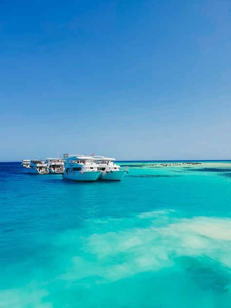 White Island in middle of blue shades of Red Sea Egypt White Island Egypt, Egypt Red Sea, Red Sea Egypt, Egypt Trip, Egypt Aesthetic, White Island, Marsa Alam, Pool Landscape, Pool Landscape Design