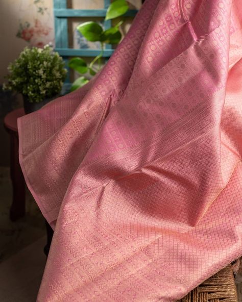 Lotus Pink Silk Saree, Pastel Colour Sarees Silk, Pastel Pink Kanchipuram Saree, Pastel Pink Saree Silk, Pastel Kanchipuram Saree, Pastel Silk Saree, Pink Kanchipuram Saree, Graduation Saree, Pink Saree Silk