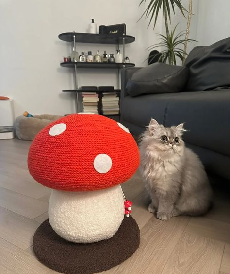 This cat's new favorite spot - right next to this adorable red mushroom scratching post! 🍄😻 #zezelife #catbed #cattree #cattoy #cat #cats #catlife #catstagram #catlovers #catsofinstagram #catsagram #cutecat Cat Play Area, Red Mushroom, Cat Post, Senior Cat, Sisal Rope, Teddy Fleece, Cat Scratching Post, Curious Cat, Cat Scratcher