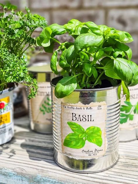 Kitchen Herb Garden Indoor, Large Terracotta Planters, Herb Labels, Tin Planters, Growing Herbs Indoors, Recycled Tin Cans, Herb Garden In Kitchen, Recycle Cans, Herb Gardening