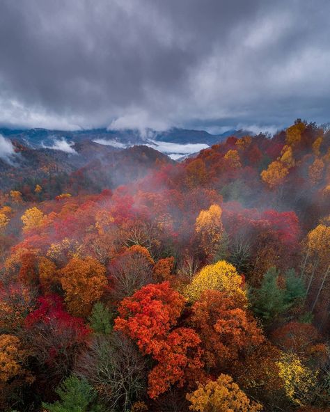 Autumnal Backgrounds, Fall Mountains, Fall View, Autumn Backgrounds, Southern Aesthetic, Fall Foilage, Autumn Mountains, Kashmir Tour, World Most Beautiful Place