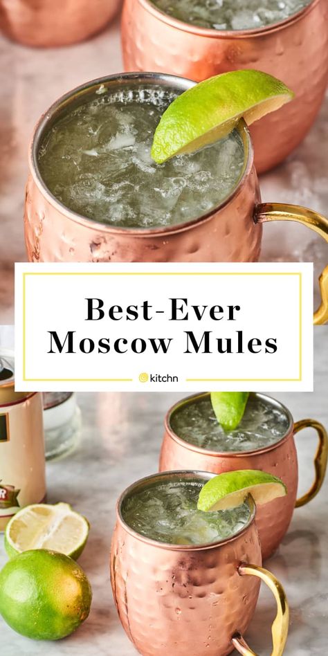 How to Make the Best Moscow Mules | Kitchn Moscow Mule Drink Recipes, Mule Cocktails, Best Moscow Mule, Moscow Mule Drink, Moscow Mules, Moscow Mule Recipe, Coctails Recipes, Mule Recipe, Boozy Drinks