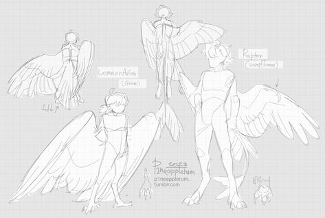 Bird People, Wings Drawing, Creature Drawings, Concept Art Drawing, Figure Drawing Reference, Creature Concept Art, Anatomy Art, Art Poses, Sketchbook Art Inspiration