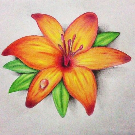 Sunflower Drawing Easy, Realistic Flower Drawing, Colored Pencil Artwork Ideas, Drawing Easy Step By Step, Arte Aesthetic, Pencil Drawings Of Flowers, Color Pencil Sketch, Sunflower Drawing, Prismacolor Art