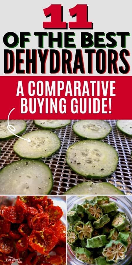 Best Dehydrator Machine, Diy Dehydrator, Dehydrator Ideas, Best Food Dehydrator, Dehydrator Machine, Homestead Diy, Food Dehydrator Machine, Dehydrating Food, Pressure Canning Recipes