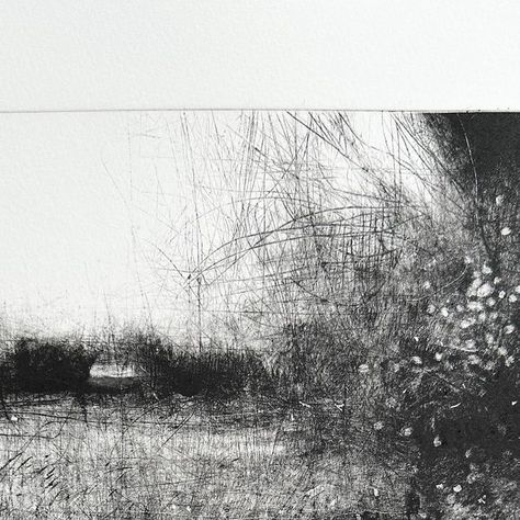 David A Parfitt RI on Instagram: "Probably my best effort today…. Monoprint, approx 20x22cms. #art #artist #ink #print #monoprint #printmaking #blackandwhite #somerset #trees #woodland #landscape #landscapedrawing #somerset" Woodland Landscape, Landscape Drawings, Seasonal Crafts, Monoprint, Somerset, Painting & Drawing, Printmaking, Art Artist, I Am Awesome