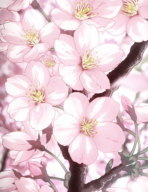 Anime Cherry Blossom, Anime Flower, Sakura Flower, Anime Gifs, Aesthetic Gif, Scenery Wallpaper, Anime Background, Anime Scenery, Images Gif