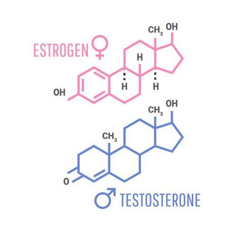 Transgender Tattoo Ideas, Chemistry Tattoo, Chemical Bonds, Testosterone Hormone, Dna Tattoo, Estrogen Hormone, Pride Tattoo, New York Tattoo, Catholic Priest