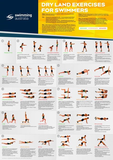 Swimming Dry Land Workouts, Swimming Gym Workout, Land Training For Swimmers, Gym Workout For Swimmers, Swim Gym Workout, Exercises For Swimmers Dryland, Swimming Exercises Workout At Home, Swimmers Workout Exercises, Strength Training For Swimmers