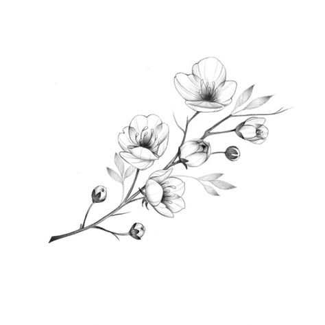 Cherry Blossom Drawing, Sakura Tattoo, Blossom Tattoo, Cherry Blossom Tattoo, Floral Tattoo Design, Flower Sketches, Instagram C, Flower Tattoo Designs, Mini Tattoos