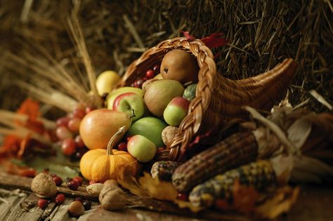 Thirteen Signs You’ve Been Reincarnated As a Synthetic Cornucopia Display | The New Yorker Thanksgiving Aesthetic, Thanksgiving Cornucopia, Thanksgiving Wallpaper, Petite Section, Bountiful Harvest, Thanksgiving Centerpieces, Thanksgiving Feast, Office Holiday, Game Food