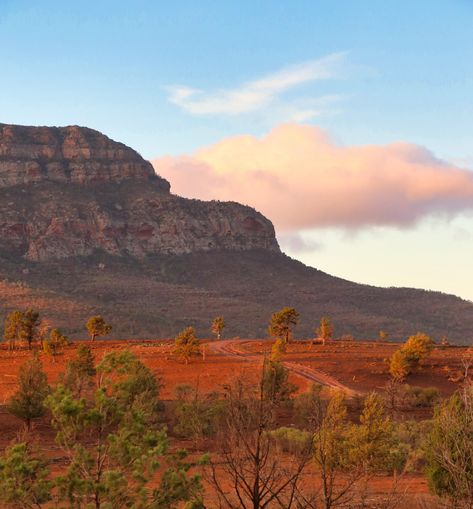 Flinders Ranges South Australia, Flinders Ranges, Australia Landscape, Australian Road Trip, Australian Continent, Holiday Snaps, Outback Australia, Full Time Travel, Vacation Inspiration