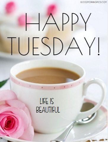 Hello! Good Morning! Happy Tuesday! - How will you make today terrific? 😁 - What’s one thing off your To-Do, that you must do? 👩🏽‍💻 - Who’s day will you brighten? 🥰 See my responses below.👇🏽 #hello #goodmorning #happytuesday #hireavirtualassistant #entrepreneur #girlboss #smallbusinessowner #womeninbusiness #femaleentrepreneur #workfromhome #vaforhire #virtualconcierge #virtualassistant #success #savvybusinessowner #virtualassistance #valife #assistanceisourbusiness⁠ Good Morning Boyfriend Quotes, Tuesday Quotes Good Morning, Tuesday Greetings, Food Creatives, Thursday Greetings, Be Good To Yourself, Morning Tuesday, Hello Tuesday, Happy Tuesday Quotes