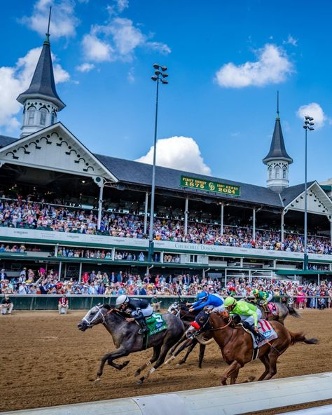 Kentucky Derby Aesthetic, Derby Aesthetic, Preakness Stakes, Sport Of Kings, Preakness, The Grey, Kentucky Derby, Horse Racing, Kentucky