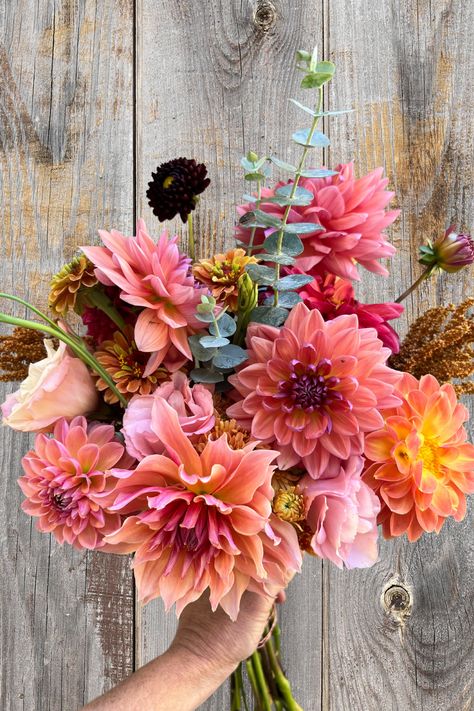 Fall dahlia bouquet for a NC barn wedding Wedding Bouquets With Dahlias, Gold Bridal Bouquet, Coral Dahlia, Dahlia Bridal Bouquet, Barn Wedding Flowers, Dahlia Wedding Bouquets, Rustic Bridal Bouquet, Dahlias Wedding, Country Wedding Flowers