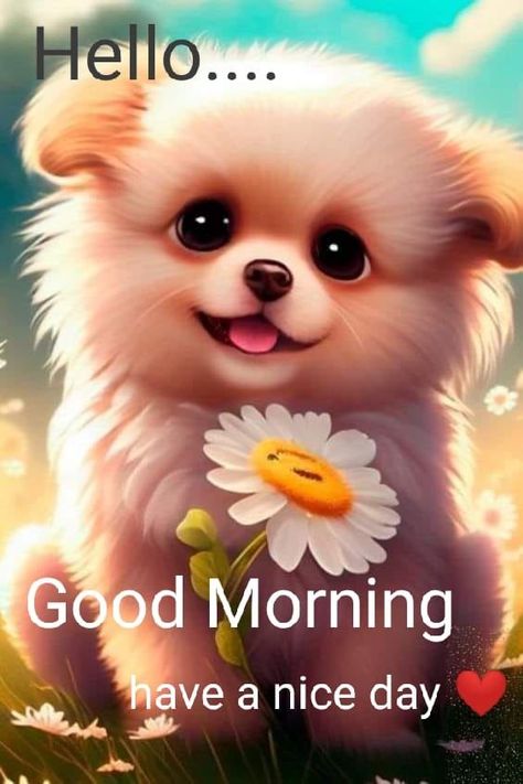 Cute Good Morning Gif, Good Morning Animals, Hello Good Morning, Morning Family, Good Morning Cartoon, Good Morning Animated Images, Good Morning Hug, Good Morning Snoopy, Good Morning Funny Pictures