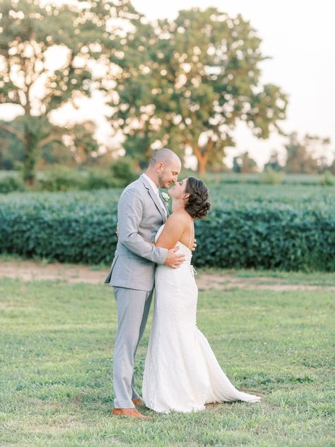 See a stunning blush and grey wedding at Rosewood Farms on the Stacy Hart blog. Stacy Hart is a fine art Philadelphia wedding photographer!    ti adora wedding gown, barn wedding, rustic wedding, summer wedding inspo, spring wedding inspo, maryland wedding venues, blush and grey wedding Light Pink And Gray Wedding, Grey And Light Pink Wedding, Rosewood Farms Wedding, Blush And Grey Wedding, Wedding Groomsmen Attire, Maryland Wedding Venues, Blush And Grey, Wedding Groomsmen, Spring Wedding Inspiration