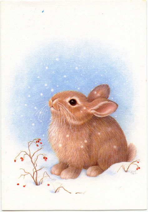 Bunny in Snow Winter Rabbit, Rabbit Christmas, Christmas Bunny, Bunny Painting, Bunny Drawing, Snow Bunny, Bunny Pictures, 카드 디자인, Rabbit Art