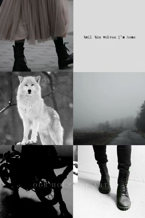 werewolf aesthetic, the world isn't black and white Werewolf Aesthetic Female, Werewolf Aesthetic Outfit, Werewolf Monster, Werewolf Girl, Aesthetic Female, Werewolf Aesthetic, Our House, Romance, Black And White