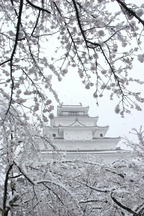 Tsuruga Castle/Aizuwakamatsu, Fukushima, JAPAN Japan White Aesthetic, White Japanese Aesthetic, Ancient China Aesthetic, Castle Wallpaper, Wallpaper Japanese, Japanese Winter, Japanese Castle, White Castle, Chinese Aesthetic