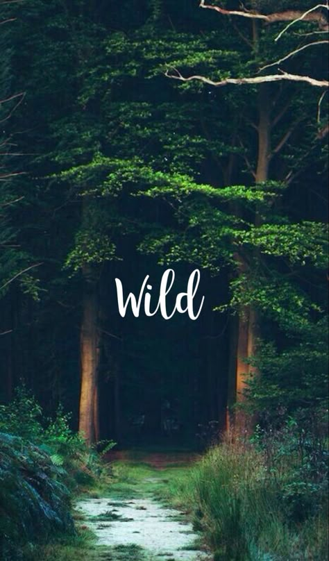 Into The Forest, Travel Umbrella, Travel Wallpaper, Mind Body And Spirit, Trendy Wallpaper, Into The Wild, Adventure Quotes, Trendy Quotes, Wild Nature