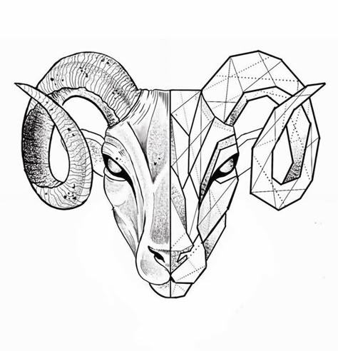 Aries Drawing, Aries Symbol Tattoos, Aries Zodiac Tattoos, Tattoo Crane, Aries Ram Tattoo, Tattoo Main, Arte Aries, Bull Skull Tattoos, Taurus Constellation Tattoo