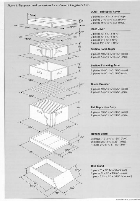 Backyard Beehive, Bee Hives Boxes, Langstroth Hive, Bee Hive Plans, Backyard Bee, Raising Bees, Backyard Beekeeping, Honey Bee Hives, Bee Boxes