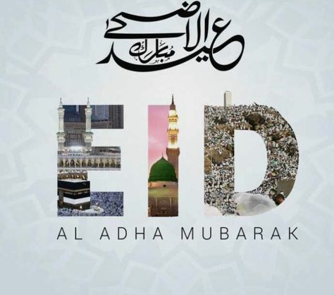 Eid Mubarak Shayari, Eid Ul Azha Mubarak, Bakrid Mubarak, Eid Mubarak Gif, Madina Sharif, Eid Ul Azha, Eid Mubarak Images, Adha Mubarak, Mubarak Images