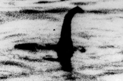 Nessie is used in the ACE teaching  materials as proof that Darwin's evolution theory is false Monster Sightings, The Loch Ness Monster, Lake Monsters, Unexplained Mysteries, Loch Ness Monster, Loch Ness, Sea Monsters, Police Chief, Inverness