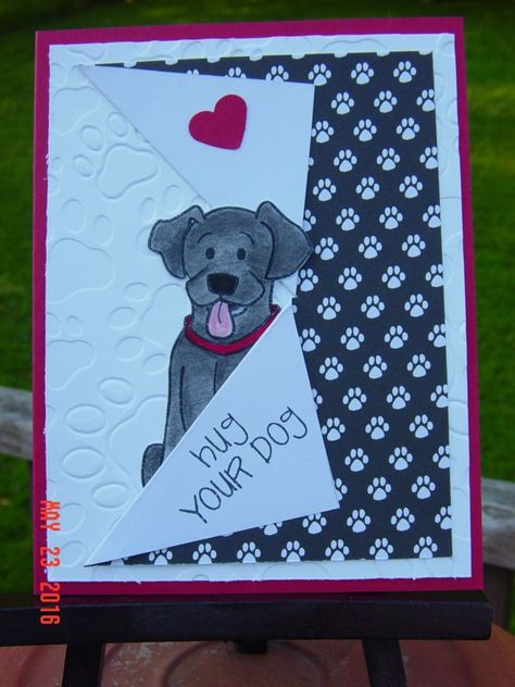 Handmade Photo Cards Ideas, Handmade Dog Cards, Stampin Up Dog Cards, Collar Fold Cards, Animal Cards Handmade, Collar Cards, Pet Cards Ideas, Dog Cards Ideas, Dog Themed Birthday Cards Diy