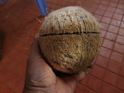 How To Open A Coconut, How To Cut Coconut, Open A Coconut, Coconut Bra, Easy Couple Halloween Costumes, Coconut Shell Crafts, Coconut Shells, Fun Things To Make, Emoji Photo