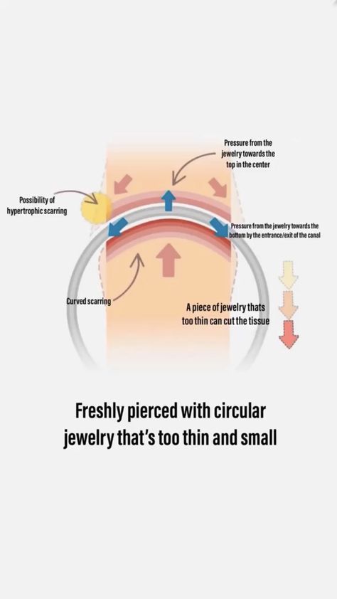 Piercing Healing Time Chart, Piercing Apprenticeship, Piercing Healing, Cool Piercings, Piercing Studio, Clean Slate, Beauty Studio, Nose Rings, Piercing Jewelry