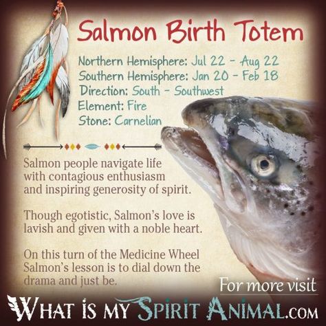 Native American Zodiac & Astrology | Birth Signs & Totems What Is My Spirit Animal, Birth Totem, Personality Compatibility, Animal Totem Spirit Guides, Spirit Animal Meaning, Animal Meanings, Birth Signs, Spirit Animal Totem, Animal Spirit Guide