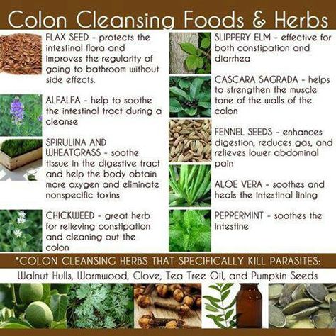 Colon cleansing foods & herbs  More: chia seeds, parsley, cilantro Colon Cleansing Foods, Colon Cleanse Diet, Clean Colon, Cleaning Your Colon, Constipation Remedies, Colon Cleansing, Colon Health, Natural Colon Cleanse, Cleanse Recipes